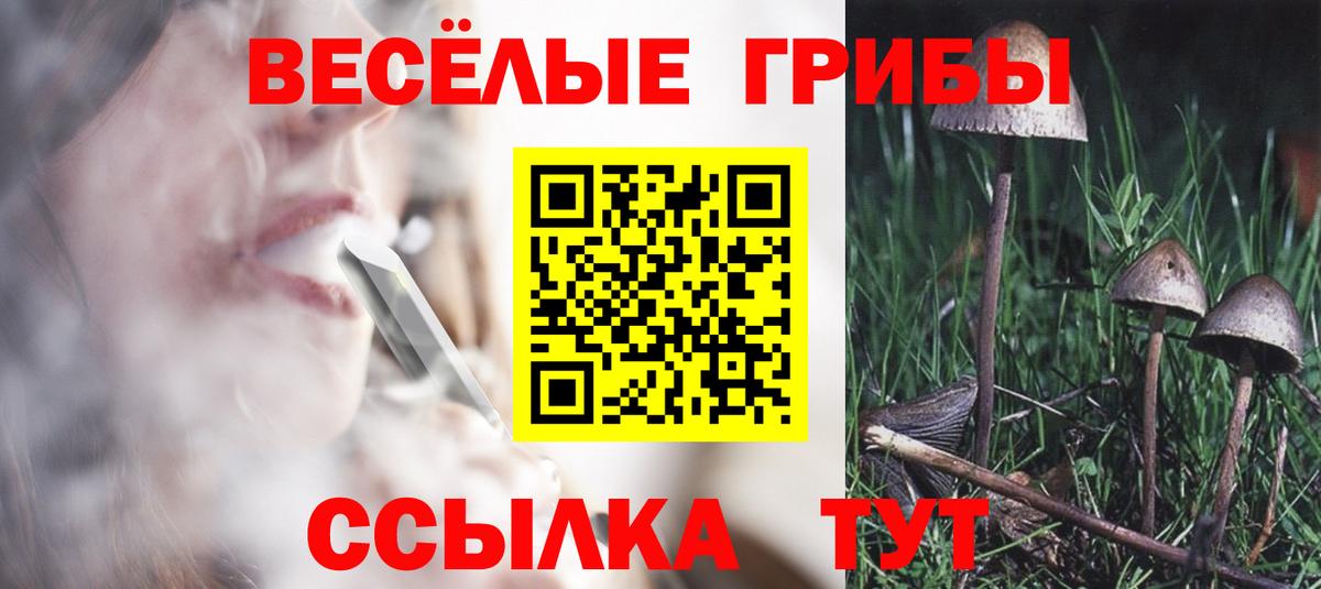 Псилоцибиновые грибы ЛСД  Вход с VPN  Можга 